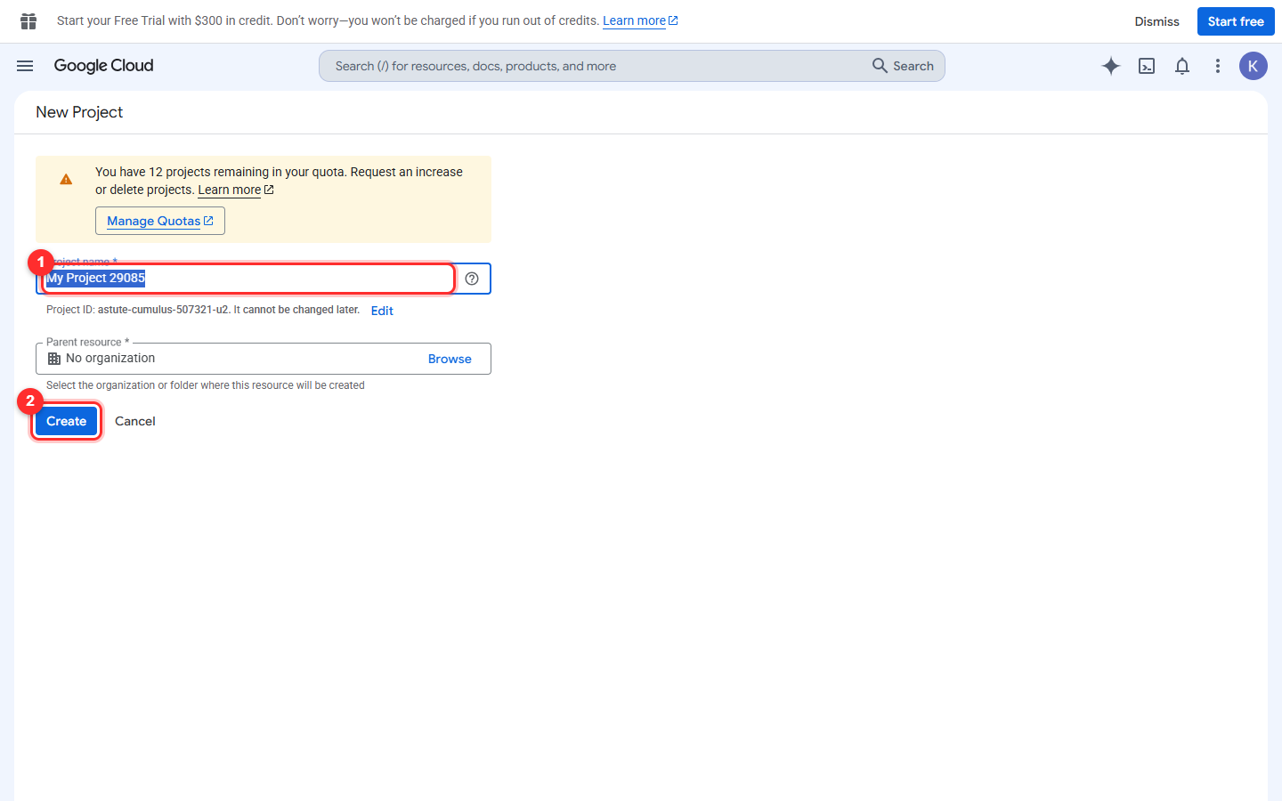 Step 6: Give the project a name and create it